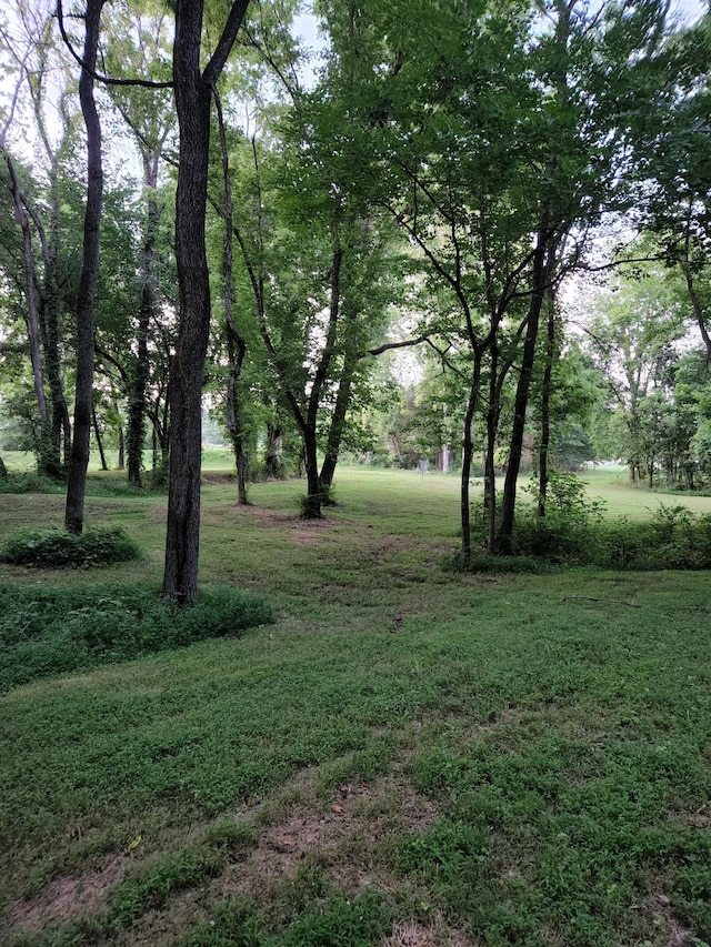 4851 Bethesda Duplex Rd, College Grove, TN 37046 - view of green lawn