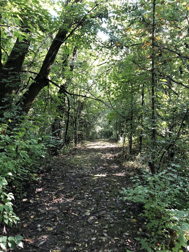 4851 Bethesda Duplex Rd, College Grove, TN 37046 - view of wooded area