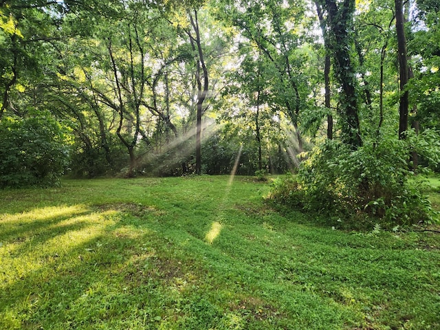4851 Bethesda Duplex Rd, College Grove, TN 37046 - view of grassy yard featuring a wooded view