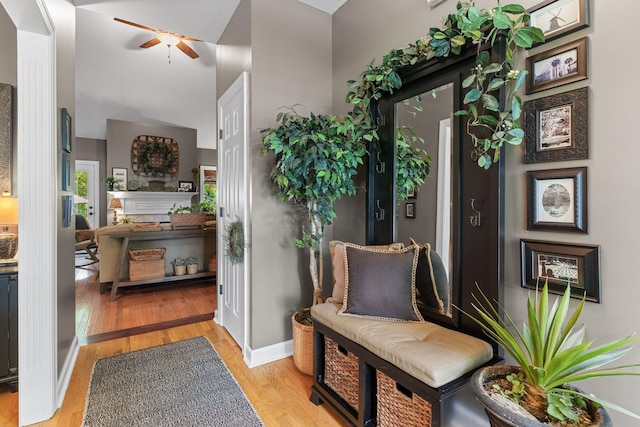 102 Lorelle Cir, Portland, TN 37148 - foyer featuring a ceiling fan, light wood-style flooring, and baseboards