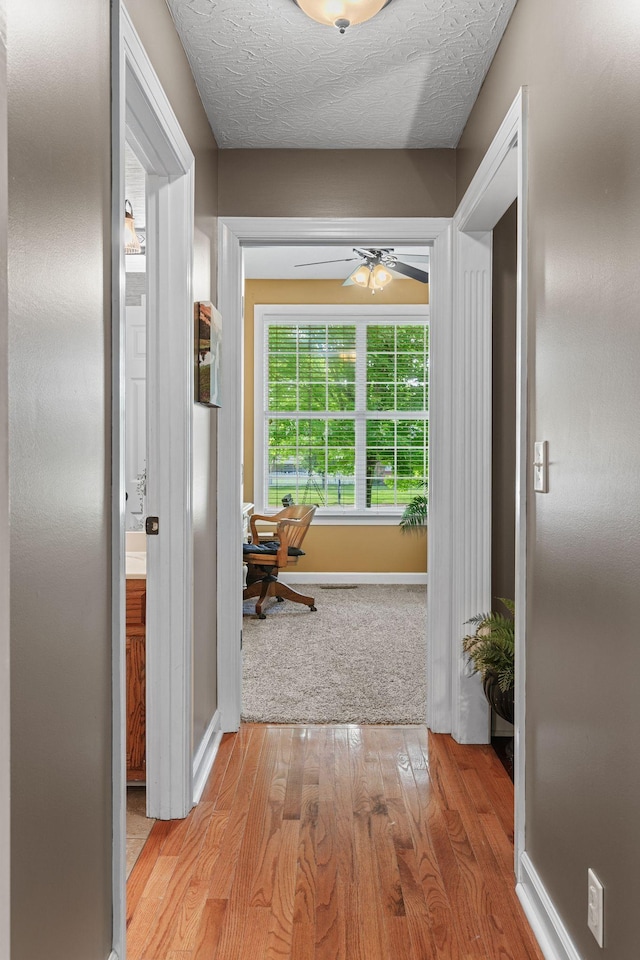 102 Lorelle Cir, Portland, TN 37148 - hall featuring light wood finished floors and baseboards