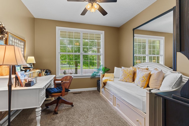 102 Lorelle Cir, Portland, TN 37148 - office space with plenty of natural light, carpet, a ceiling fan, and baseboards