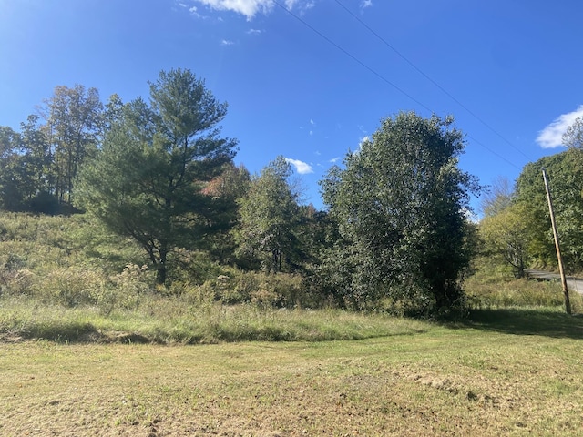 440 Big Spring Hollow Rd, Pulaski, TN 38478