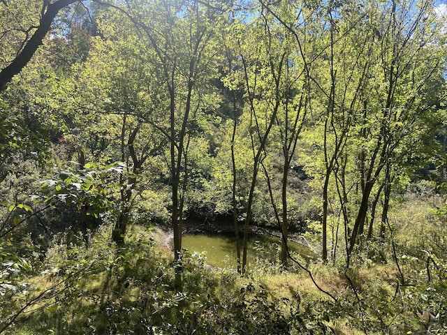 440 Big Spring Hollow Rd, Pulaski, TN 38478