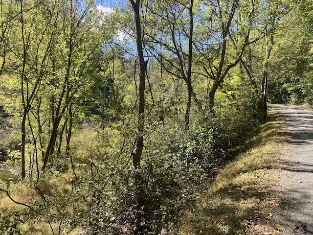 440 Big Spring Hollow Rd, Pulaski, TN 38478