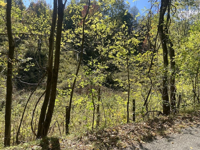 440 Big Spring Hollow Rd, Pulaski, TN 38478