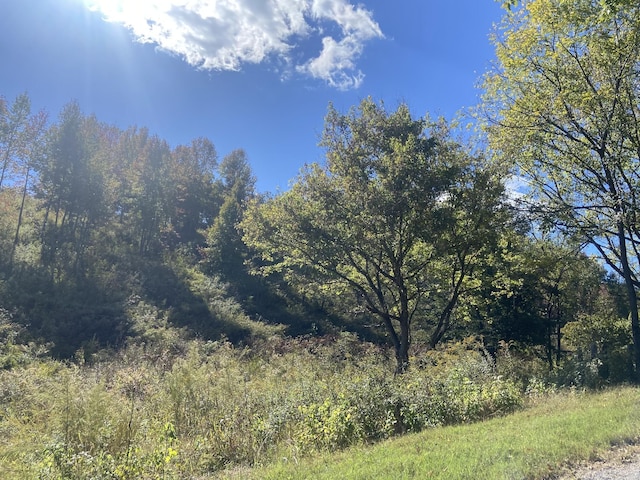 440 Big Spring Hollow Rd, Pulaski, TN 38478
