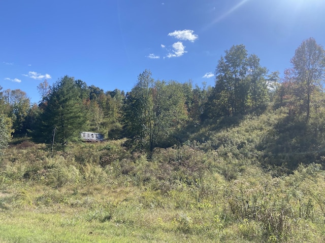 440 Big Spring Hollow Rd, Pulaski, TN 38478