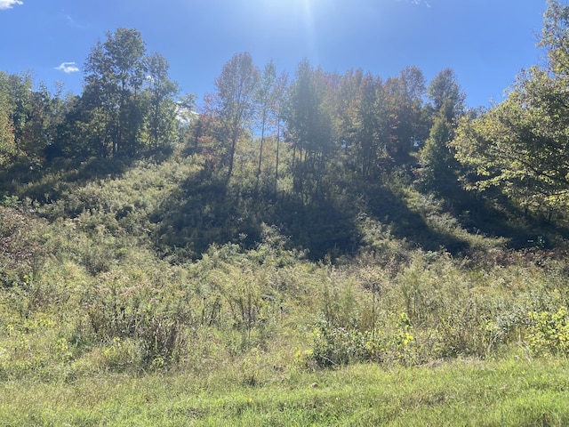 440 Big Spring Hollow Rd, Pulaski, TN 38478
