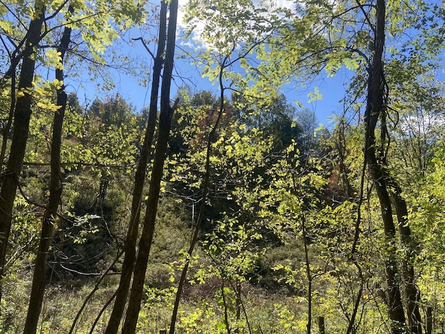 440 Big Spring Hollow Rd, Pulaski, TN 38478