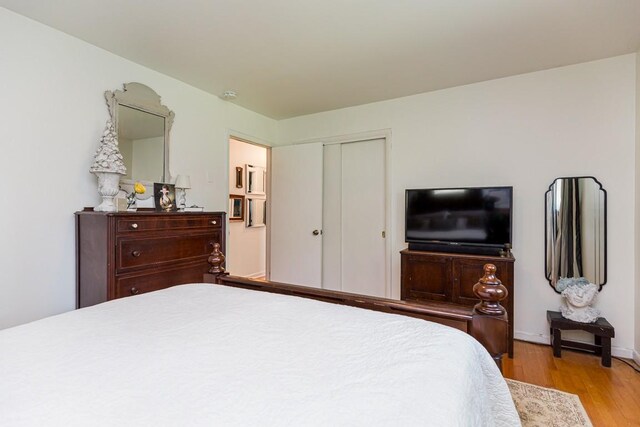 1006 Kirkwood Ave, Murfreesboro, TN 37130 - bedroom with light wood-style flooring, a closet, and baseboards