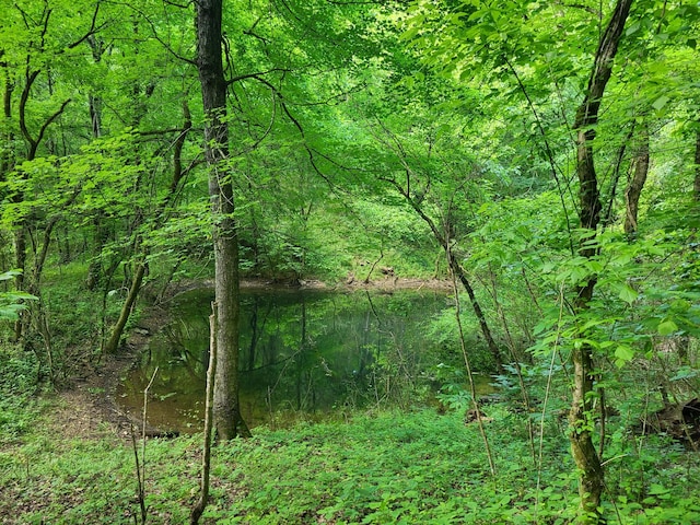 1 Bailey Ln, Pulaski, TN 38478