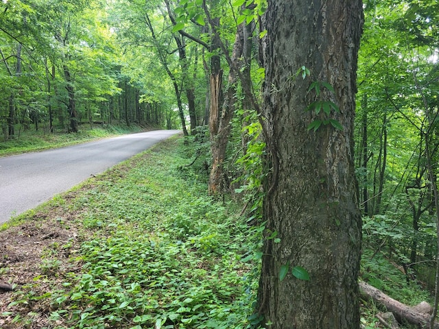 1 Bailey Ln, Pulaski, TN 38478
