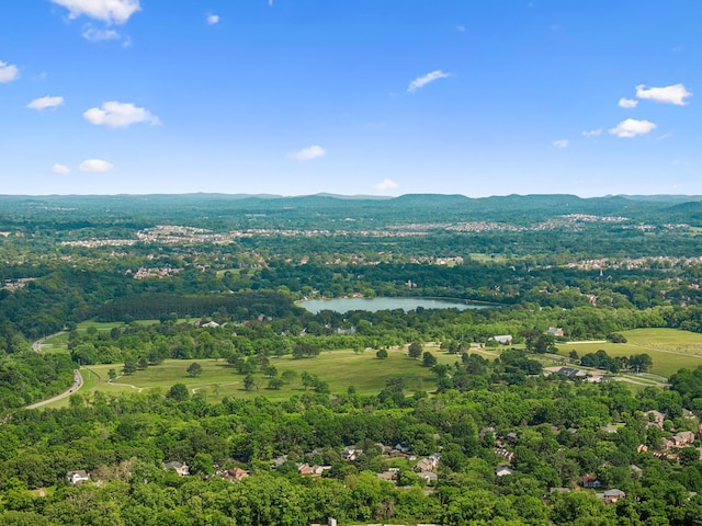 102 Battlefield Dr, Franklin, TN 37064 - photo 42