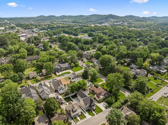 102 Battlefield Dr, Franklin, TN 37064 - photo 41