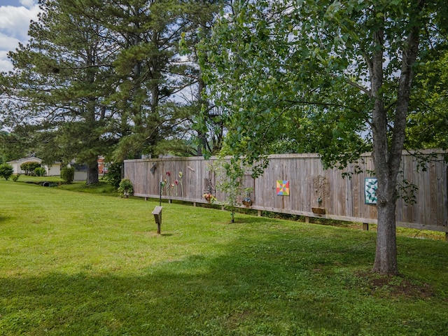 1205 Parker Dr, Pulaski, TN 38478 - view of yard