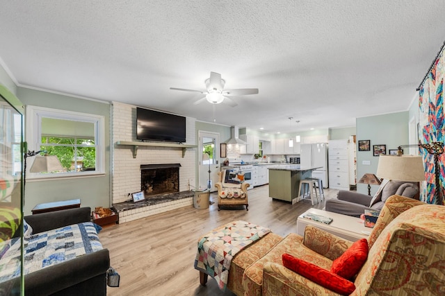 1205 Parker Dr, Pulaski, TN 38478 - living room with a ceiling fan, crown molding, a textured ceiling, light wood finished floors, and a fireplace