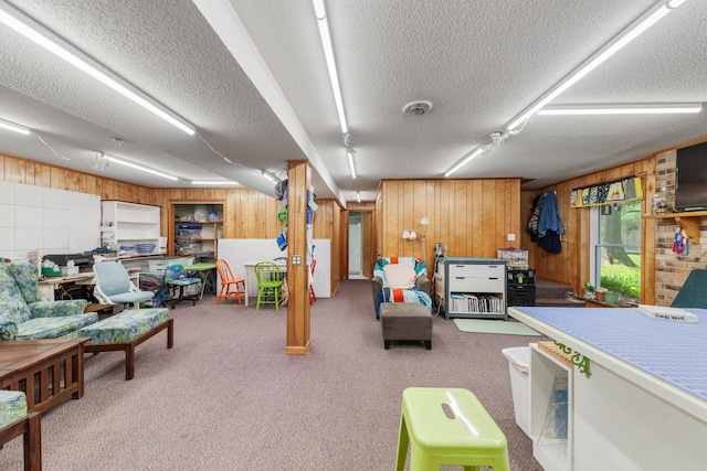 1205 Parker Dr, Pulaski, TN 38478 - below grade area with a textured ceiling, wooden walls, and carpet floors