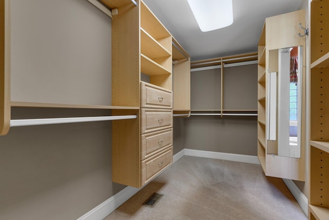 220 Porters Bluff Rd, Clarksville, TN 37040 - spacious closet with carpet flooring