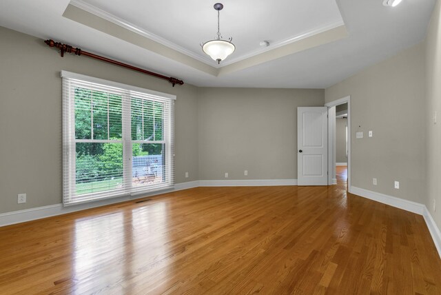 220 Porters Bluff Rd, Clarksville, TN 37040 - unfurnished room featuring a raised ceiling, crown molding, light wood-type flooring, and baseboards