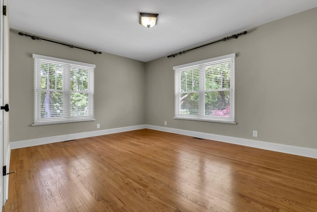 220 Porters Bluff Rd, Clarksville, TN 37040 - empty room featuring plenty of natural light, light wood-type flooring, and baseboards