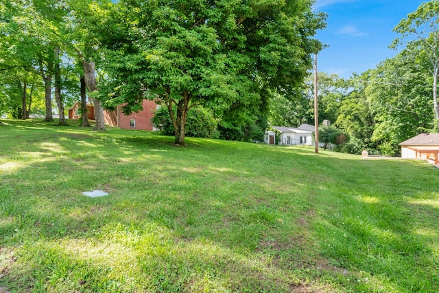 220 Porters Bluff Rd, Clarksville, TN 37040 - view of green lawn