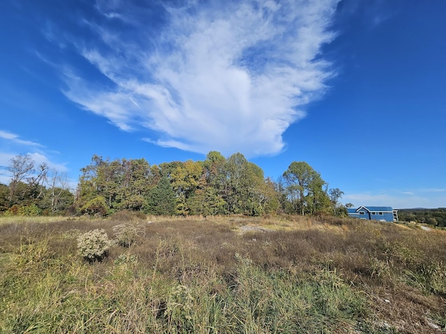 9626 Concord Rd, Brentwood, TN 37027