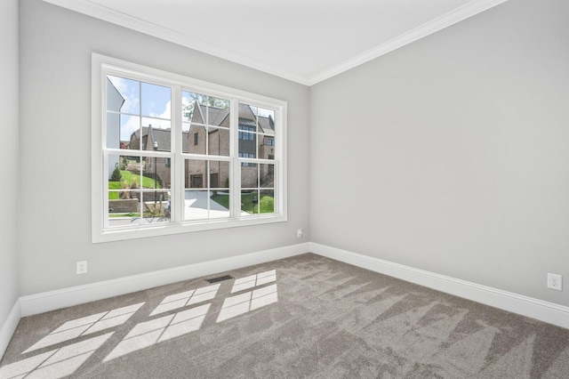 129 Barlow Dr, Franklin, TN 37064 - spare room with carpet flooring, crown molding, and baseboards