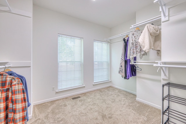 4002 Lattigo Ct, Spring Hill, TN 37174 - walk in closet with carpet floors