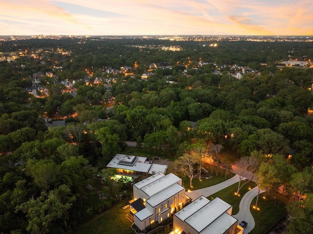 bird's eye view