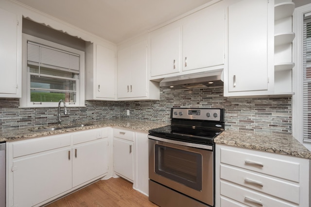 3310 Glencliff Rd, Nashville, TN 37211 - kitchen featuring stainless steel appliances, open shelves, under cabinet range hood, a sink, and white cabinetry
