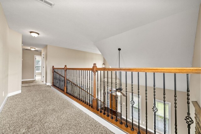 4426 Ironhorse Way, Clarksville, TN 37040 - photo 23