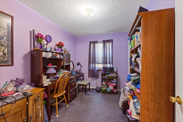 111 Hickory Trce, Lyles, TN 37098 - carpeted office featuring a textured ceiling