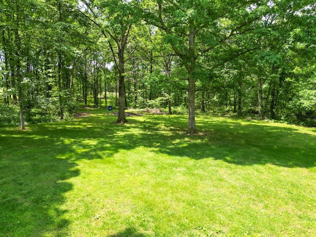 111 Hickory Trce, Lyles, TN 37098 - view of green lawn