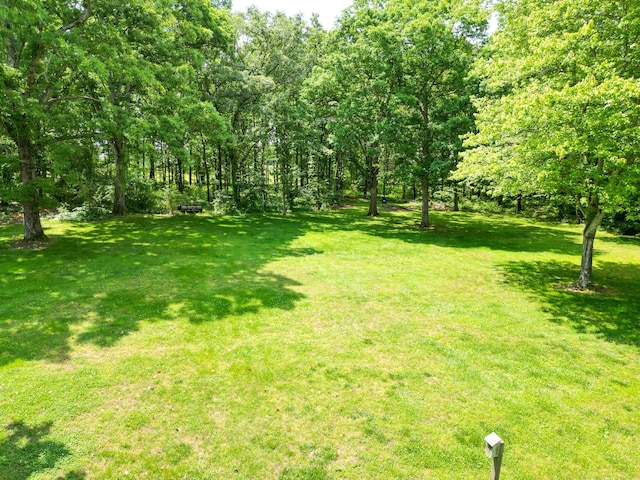 111 Hickory Trce, Lyles, TN 37098 - view of grassy yard