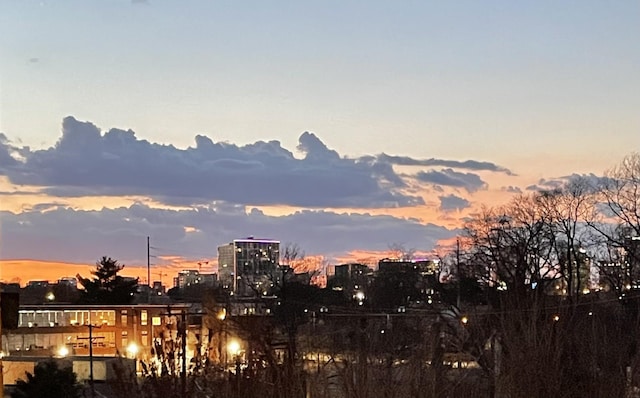 13A N Hill St, Nashville, TN 37210 - view of city
