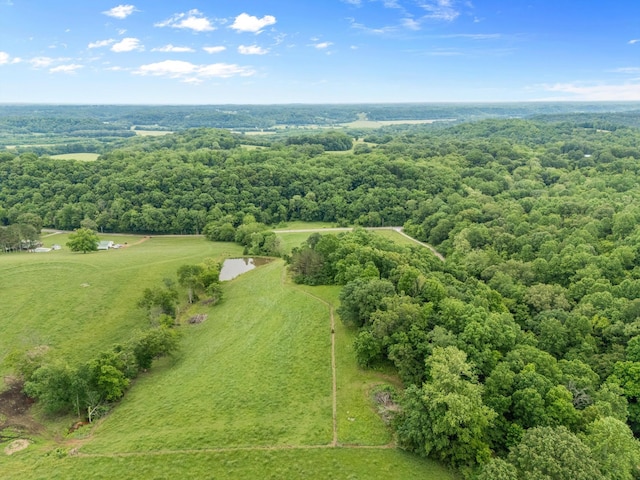 bird's eye view of a forest