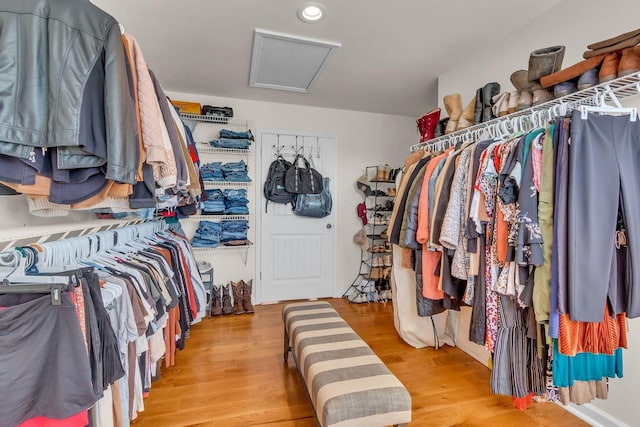 1032 Neeleys Bnd, Spring Hill, TN 37174 - spacious closet featuring attic access and light wood-type flooring
