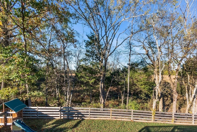 1032 Neeleys Bnd, Spring Hill, TN 37174 - view of yard