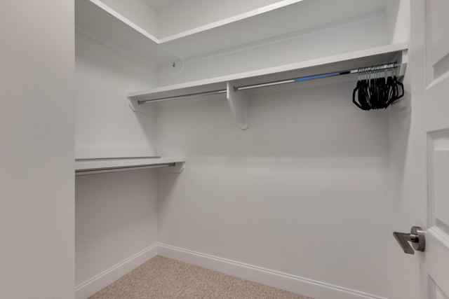 walk in closet with carpet