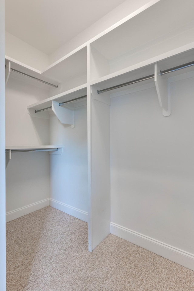 walk in closet featuring carpet floors