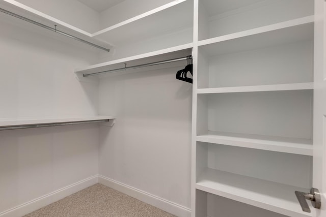 spacious closet featuring carpet floors
