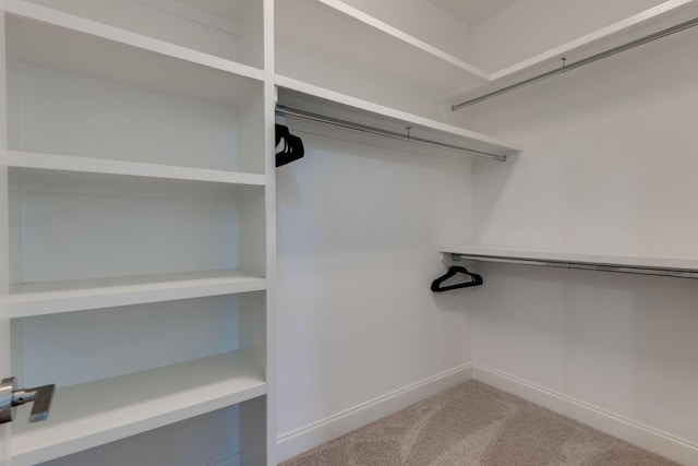 walk in closet with carpet floors