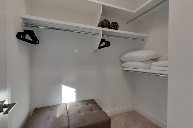 spacious closet with carpet floors