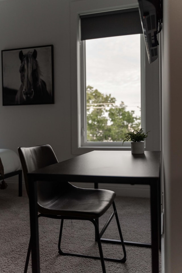 carpeted office space featuring healthy amount of natural light