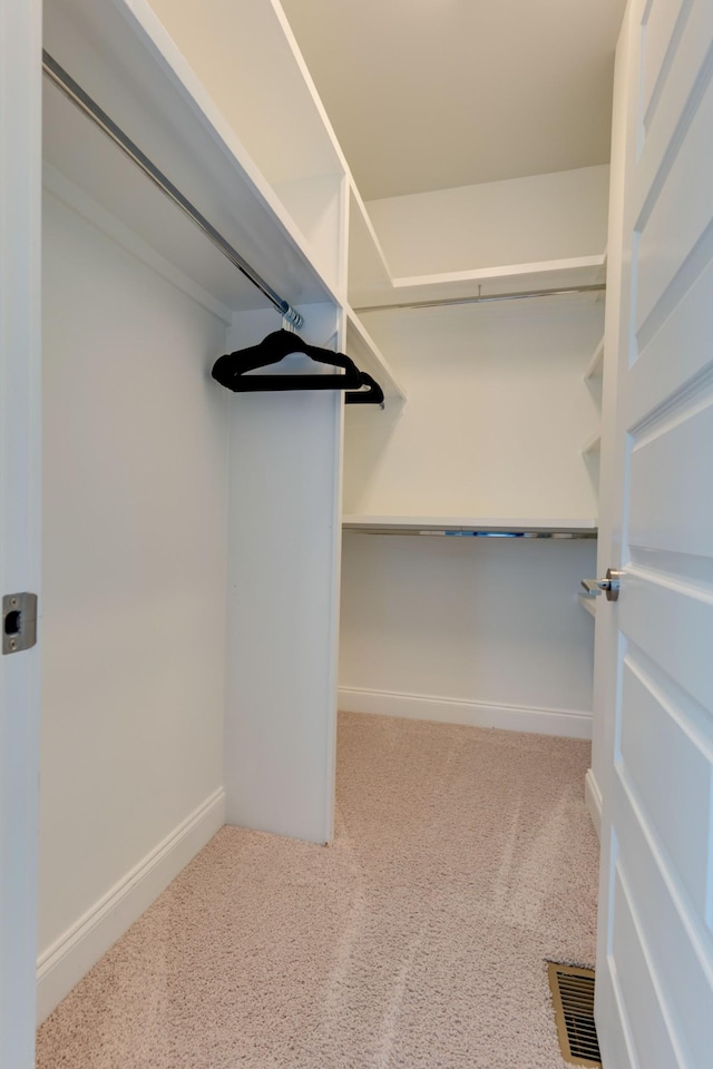 spacious closet featuring carpet flooring