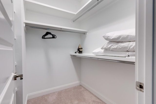 walk in closet featuring carpet flooring