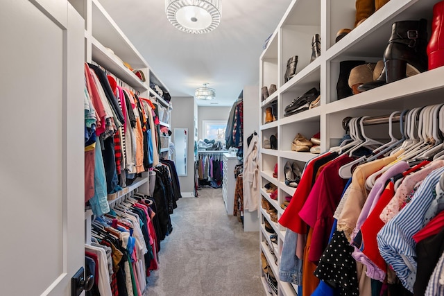 7480 Horn Tavern Rd, Fairview, TN 37062 - walk in closet featuring carpet floors