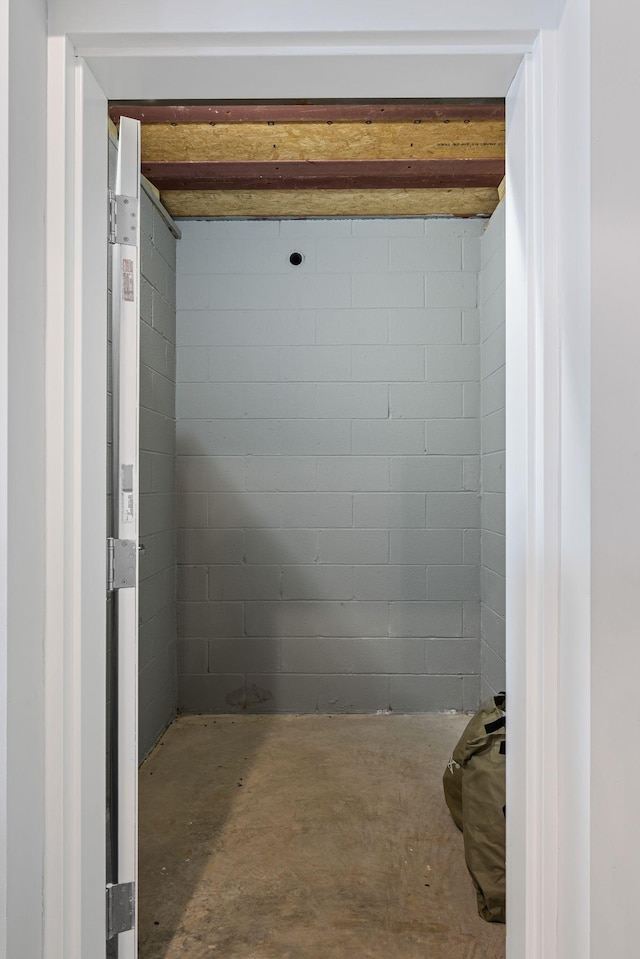 7480 Horn Tavern Rd, Fairview, TN 37062 - bathroom with concrete flooring and concrete block wall