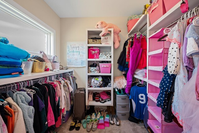 7480 Horn Tavern Rd, Fairview, TN 37062 - walk in closet with carpet